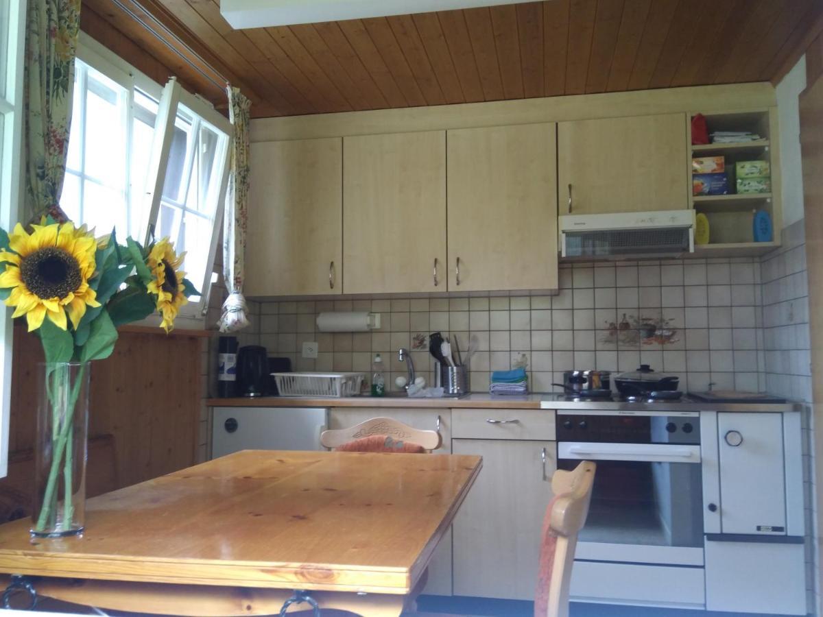 Ferien Cottage Flueehblueemli Stechelberg Exteriör bild